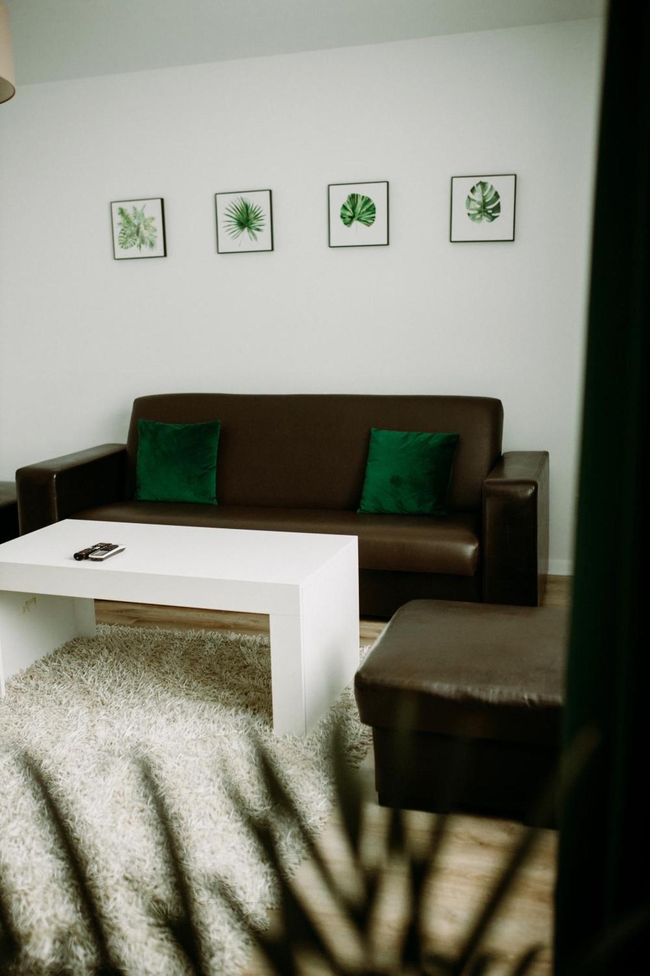 Apartament Magnolia -Centrum Tarnów エクステリア 写真